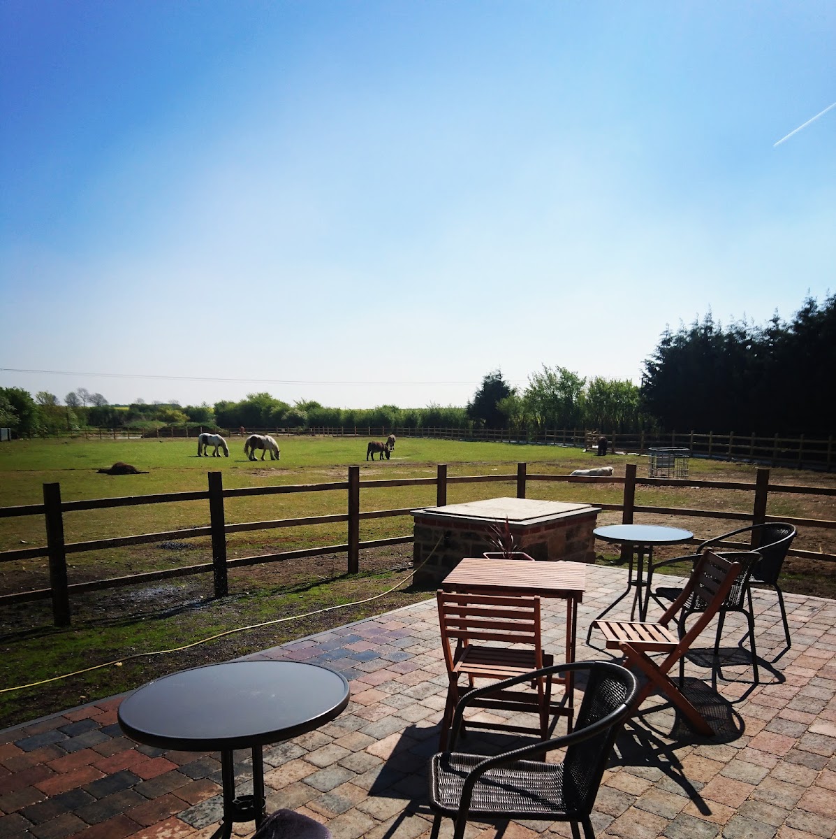 Leger Lakes Tearoom